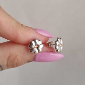 Aros Pasantes Margarita